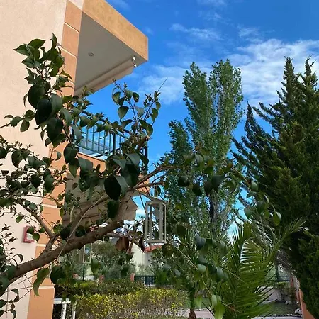 Alexandra Apartament *